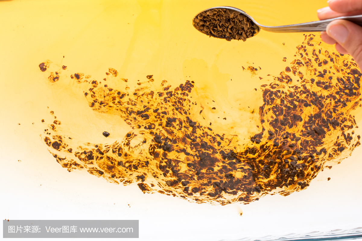 蚂蚁,工蚁,蚁,溶解