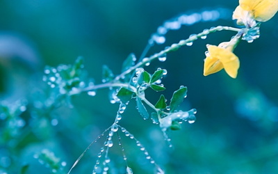 春天为什么常下雨啊.