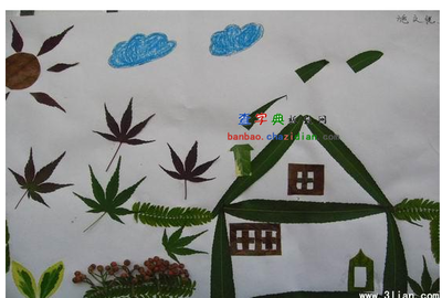 有关树叶的手抄报图片