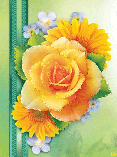 壁纸 花 桌面 240_320 竖版 竖屏 手机 gif 动态图 动图