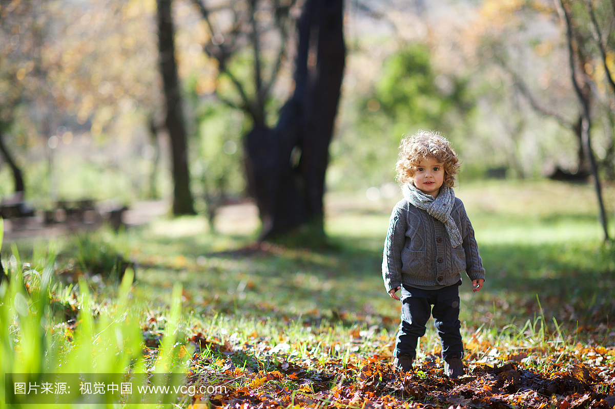 可爱的男孩站在秋天的落叶