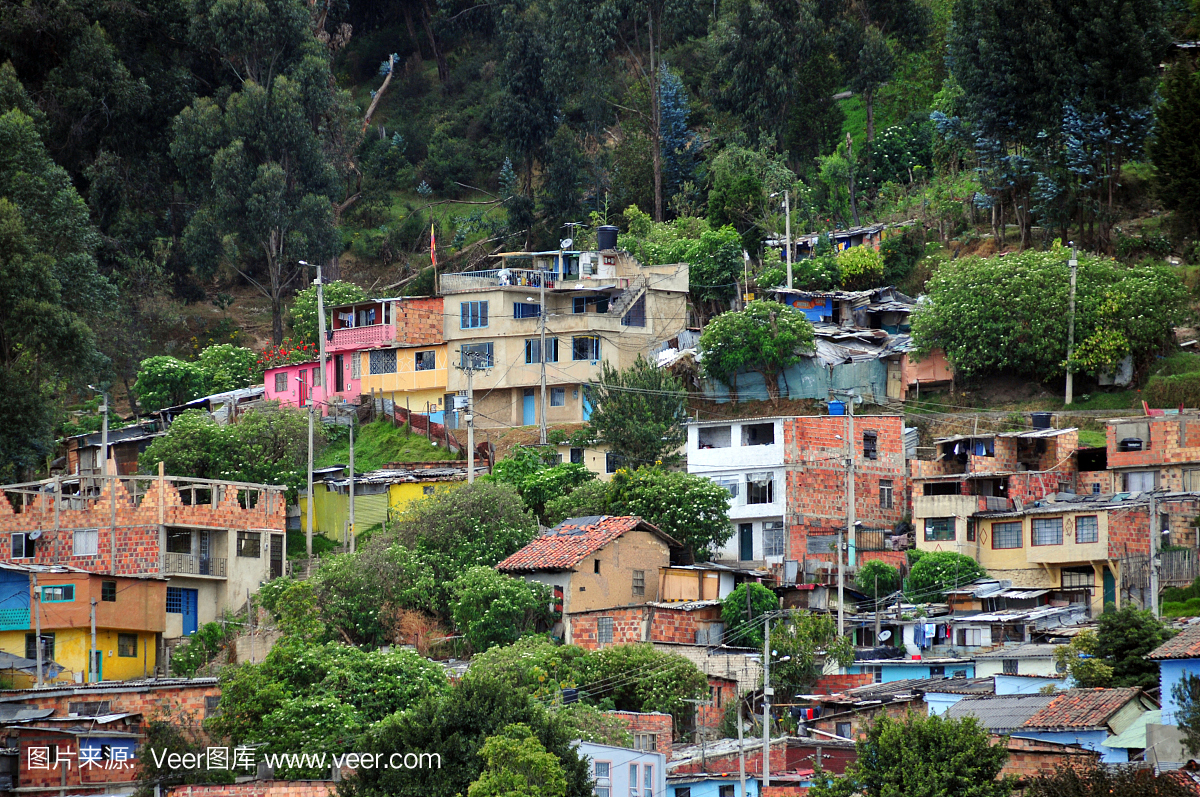 波哥大哥伦比亚:贫民窟和森林