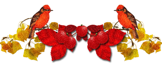 微信向下小箭头gif  动态箭头_百度图片搜索 微信动态分割线素材,微信