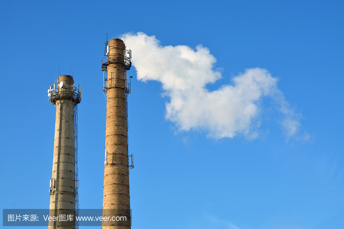 烟雾从中冒出的植物的管子