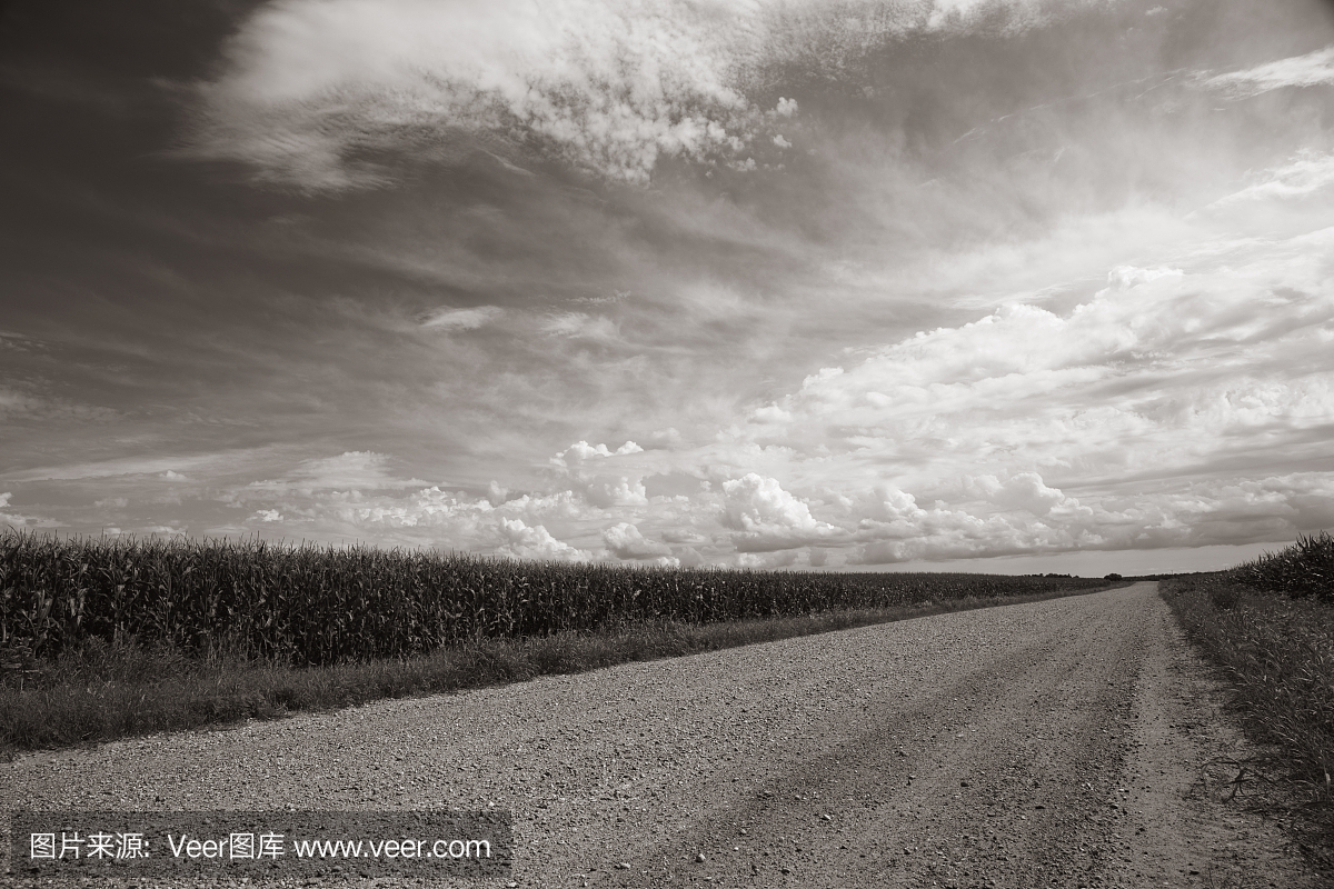 玉米田和乡村之路在戏剧性的天空下