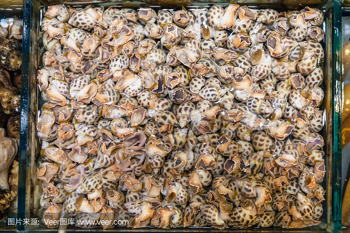 许多水蜗牛在广州市鱼市场