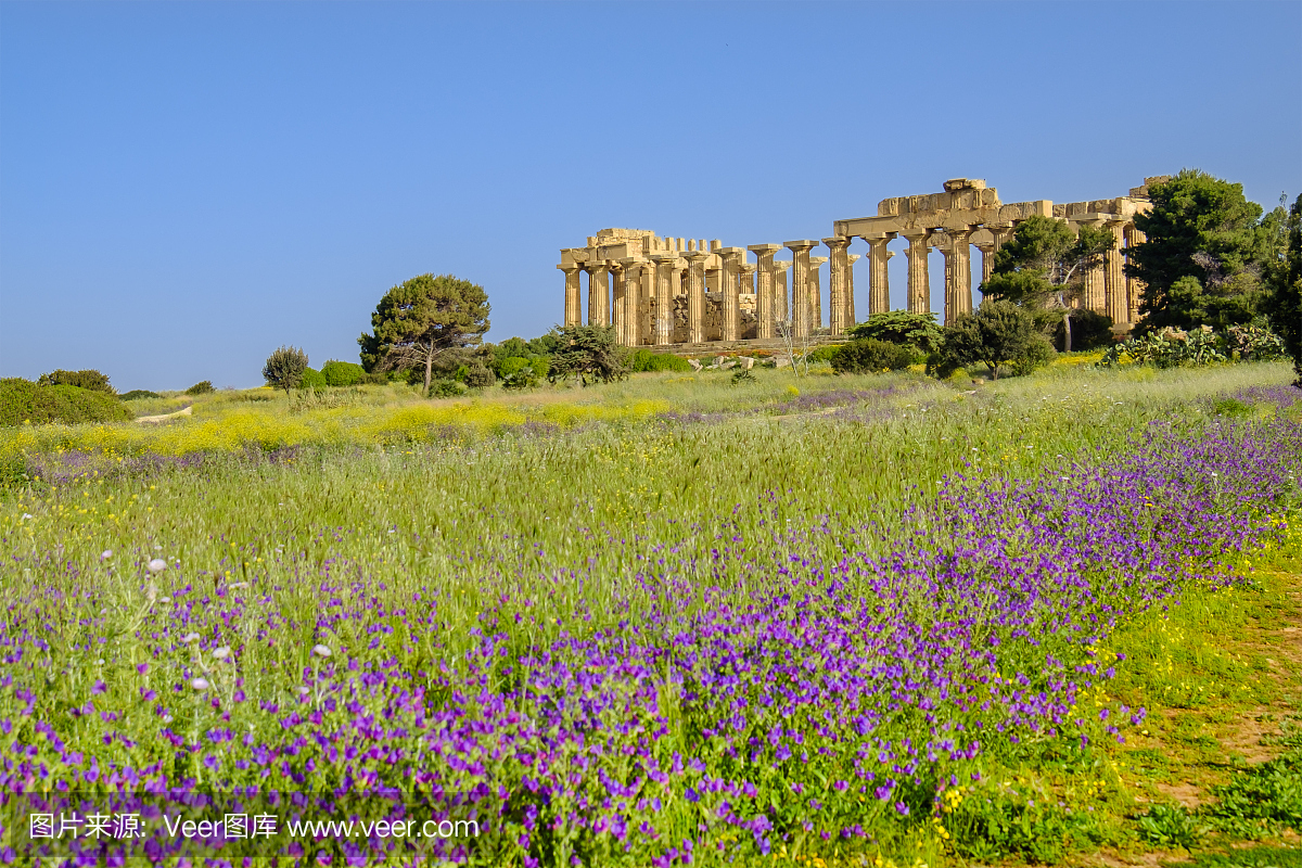 塞利农特是位于西西里岛西南海岸的古希腊城市