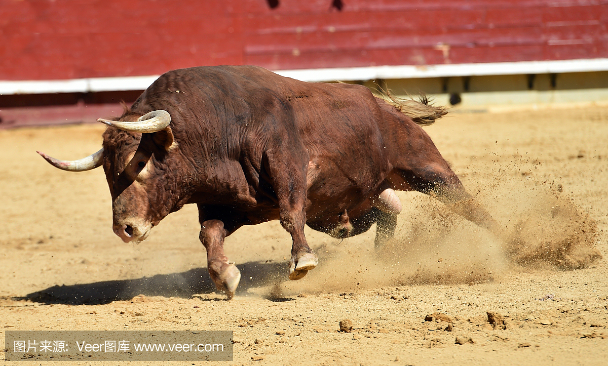 斗牛场,斗牛赛场,斗牛场地,斗牛竞技场