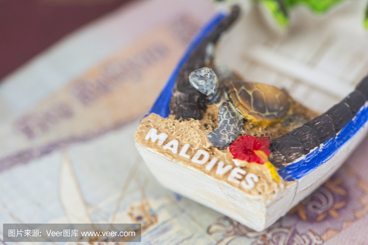 我们去马尔代夫