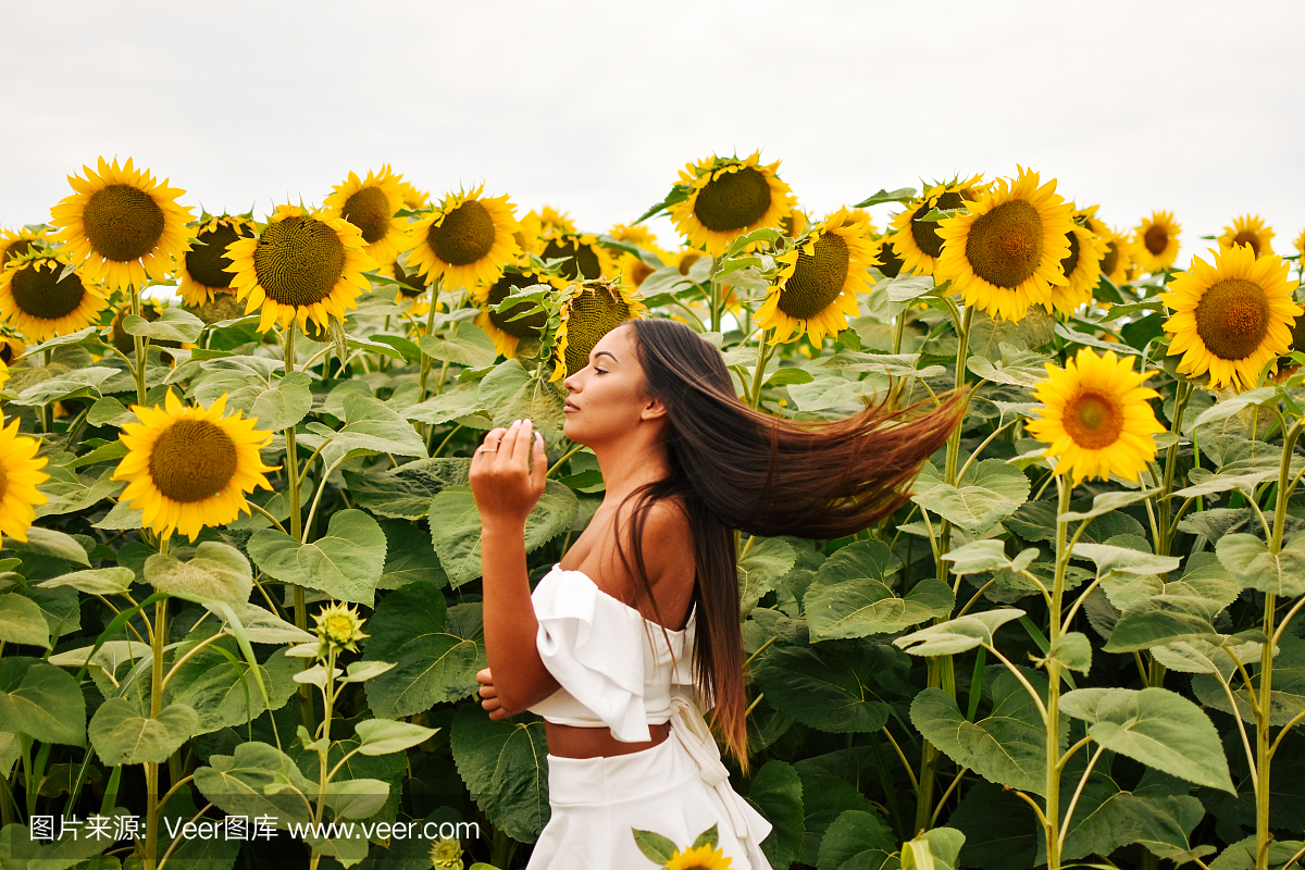 圣文森特和格林纳丁斯,简单,梦想,舞蹈