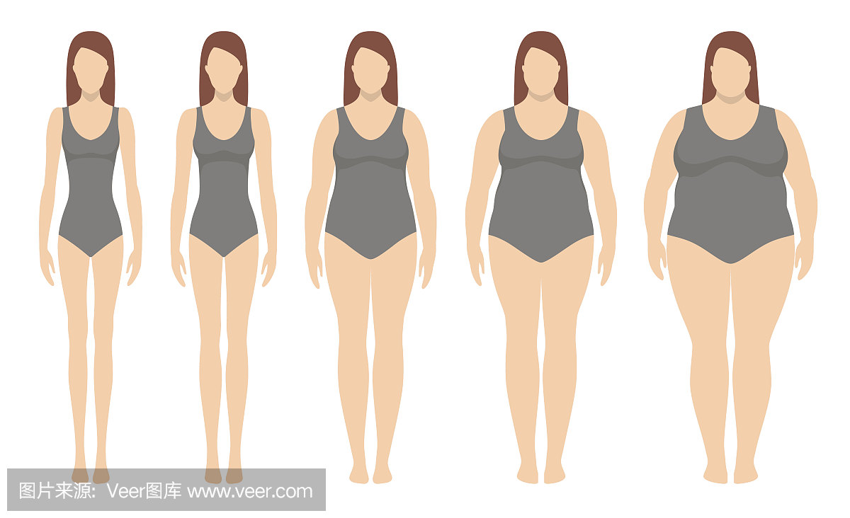 体重指数矢量图从体重过轻到极度肥胖。与不同