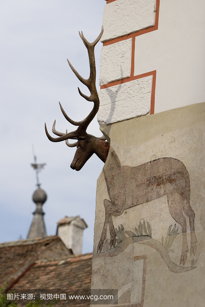 在Piata Citatii建筑角落的鹿画和奖杯。