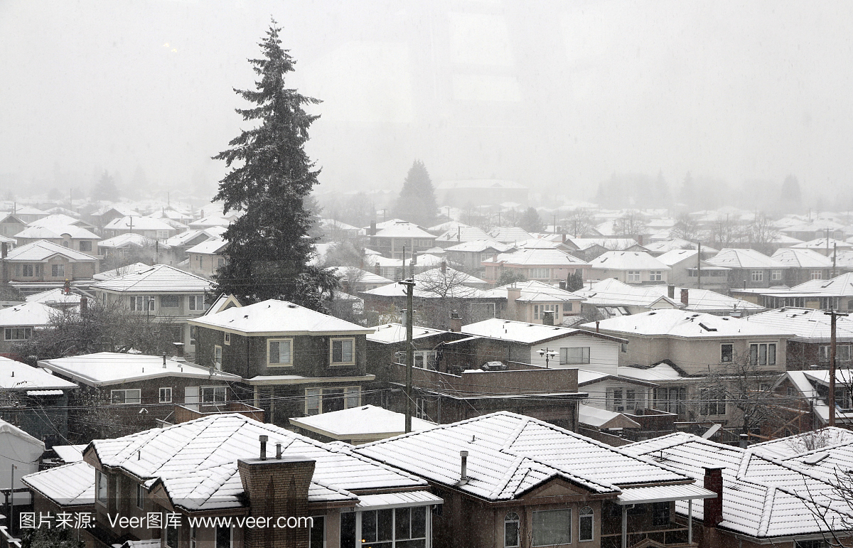 温哥华,水平画幅,郊区,雪