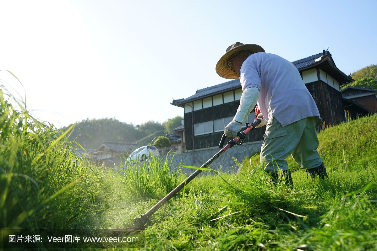 在农村从事农业工作的日本老人