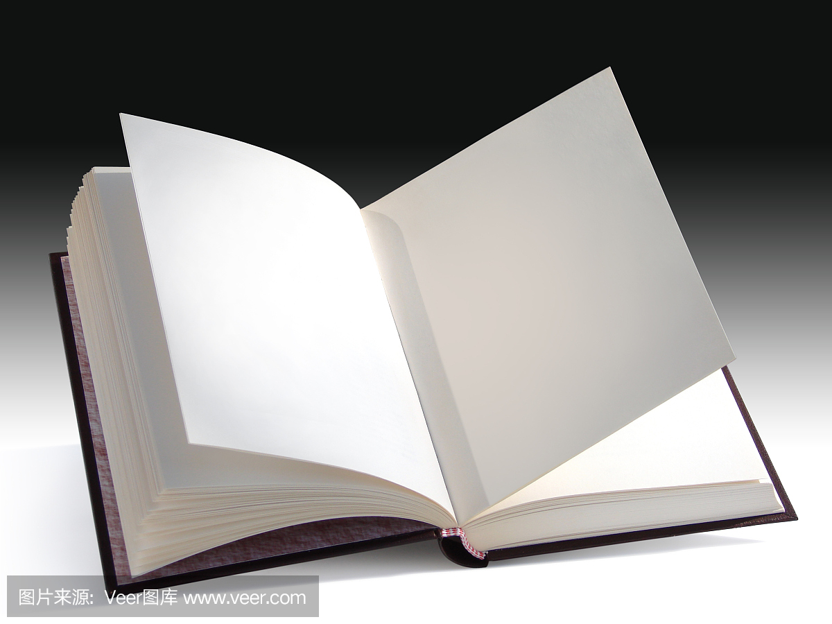 一本打开的书,在阴影的背景上有空白页