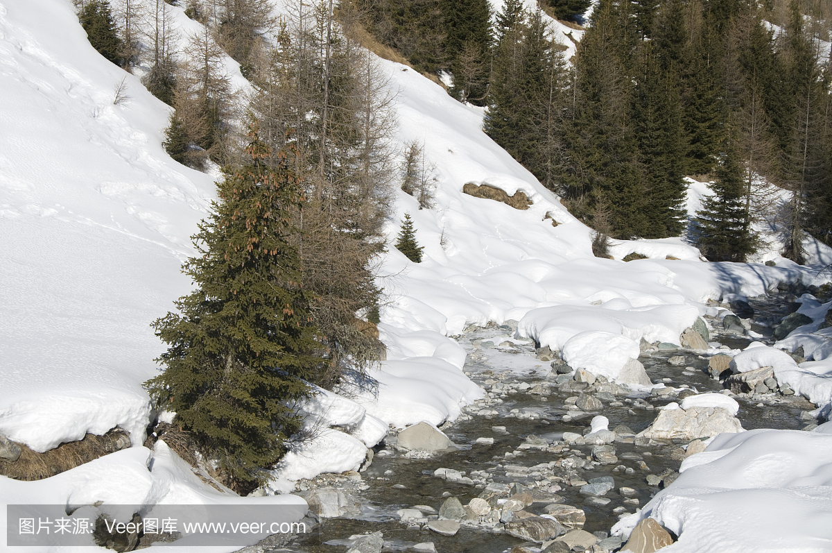 颤抖,冷地发抖,哆哆嗦嗦,打颤