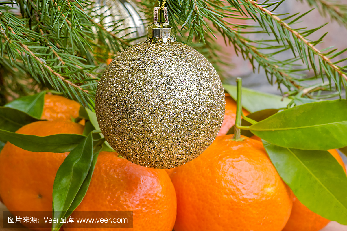 球,水平画幅,圣诞节,国家休闲区