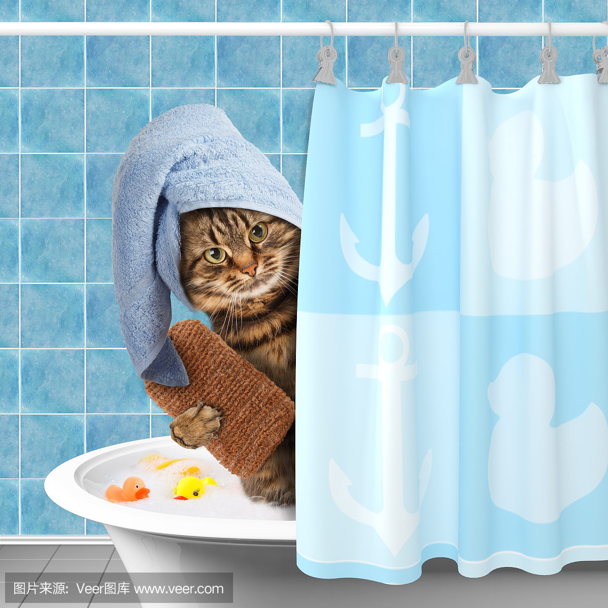 有趣的猫洗澡。