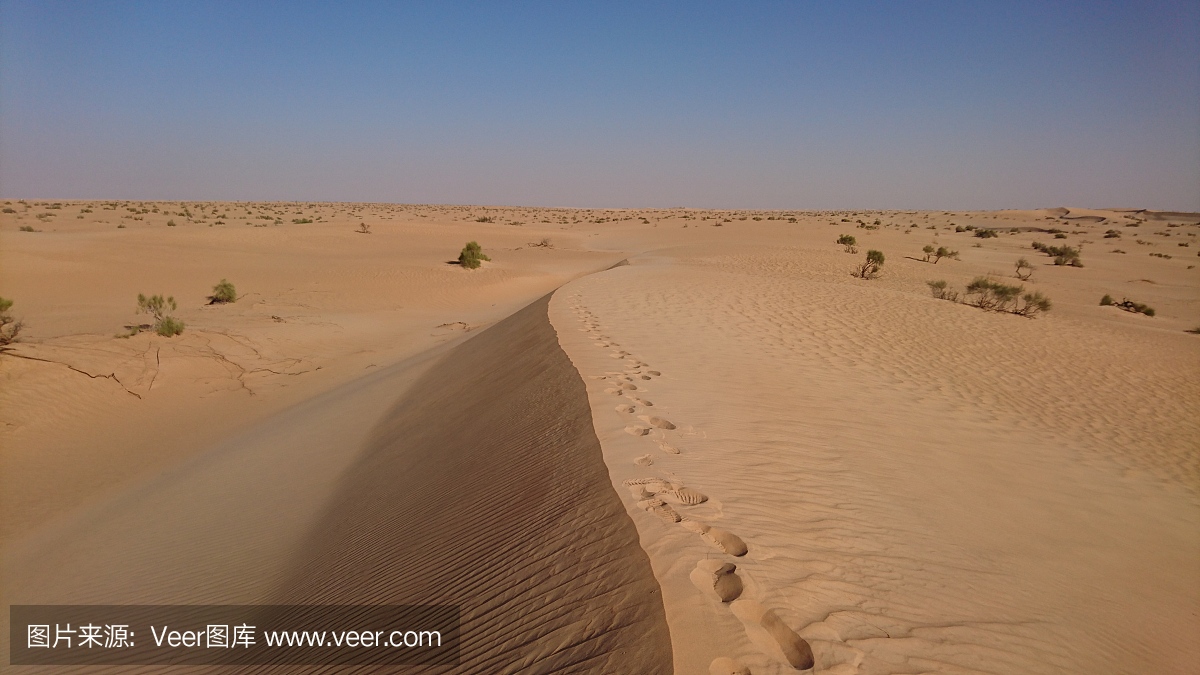 撒哈拉沙漠,万里无云,视力,图像