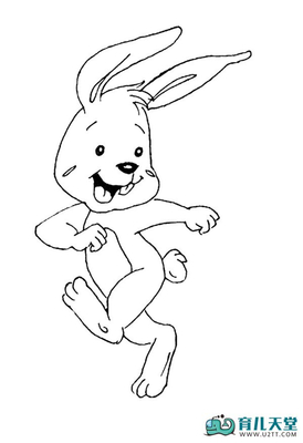 简笔画兔子图片大全可爱,我的小白兔_动物简笔-91kb