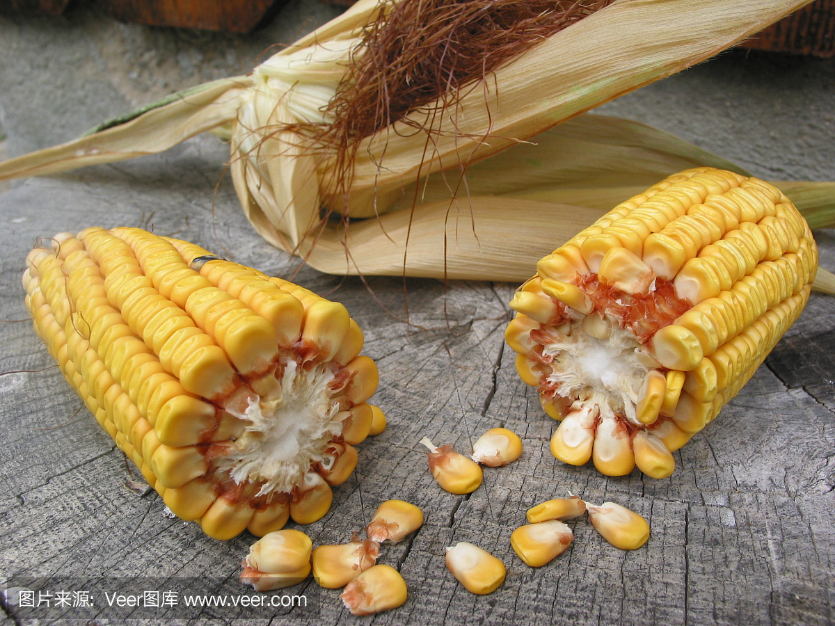 老玉米,玉米棒子,玉米棒,特写