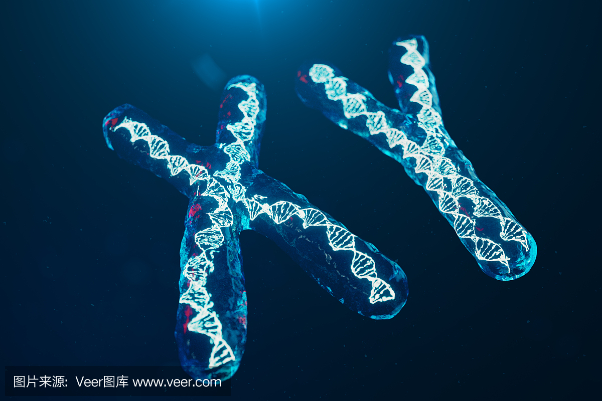 螺旋,显微镜,克隆,英文字母Y