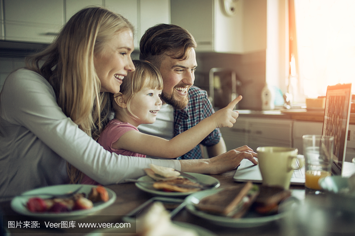 斯堪的纳维亚文化,斯堪的纳维亚文明,典型的斯