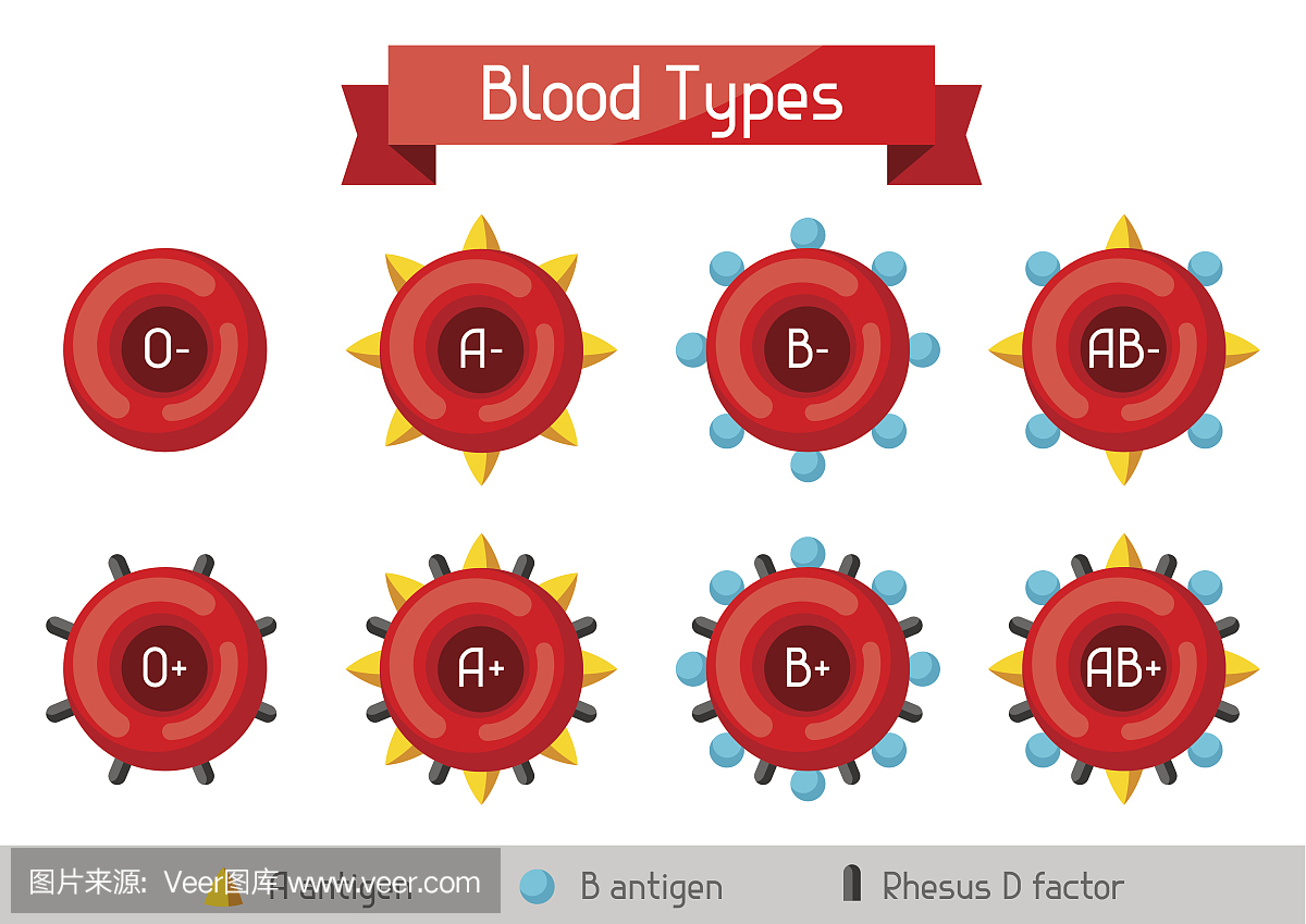 一套血细胞类型。医疗卫生信息图