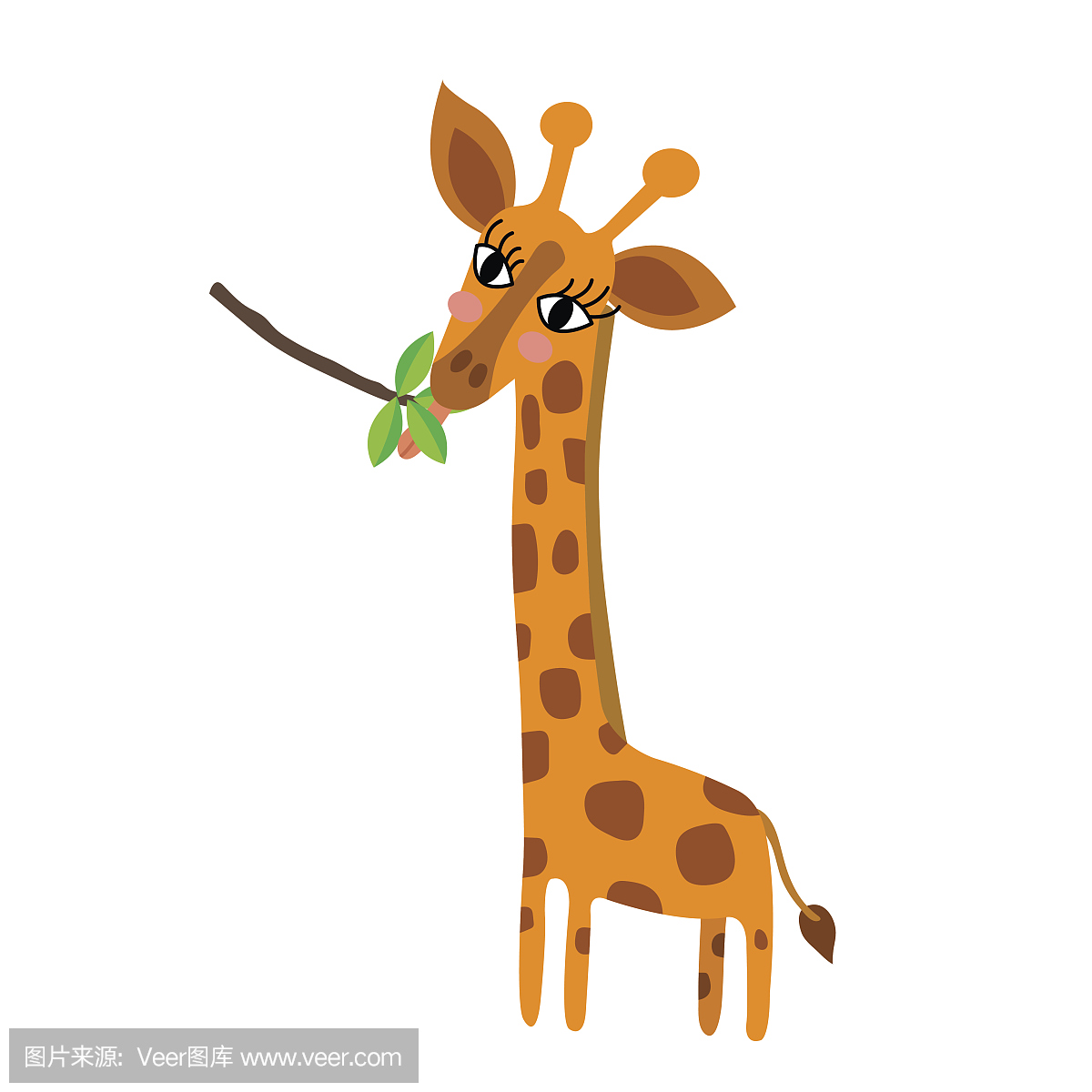 长颈鹿吃叶动物卡通人物矢量图。