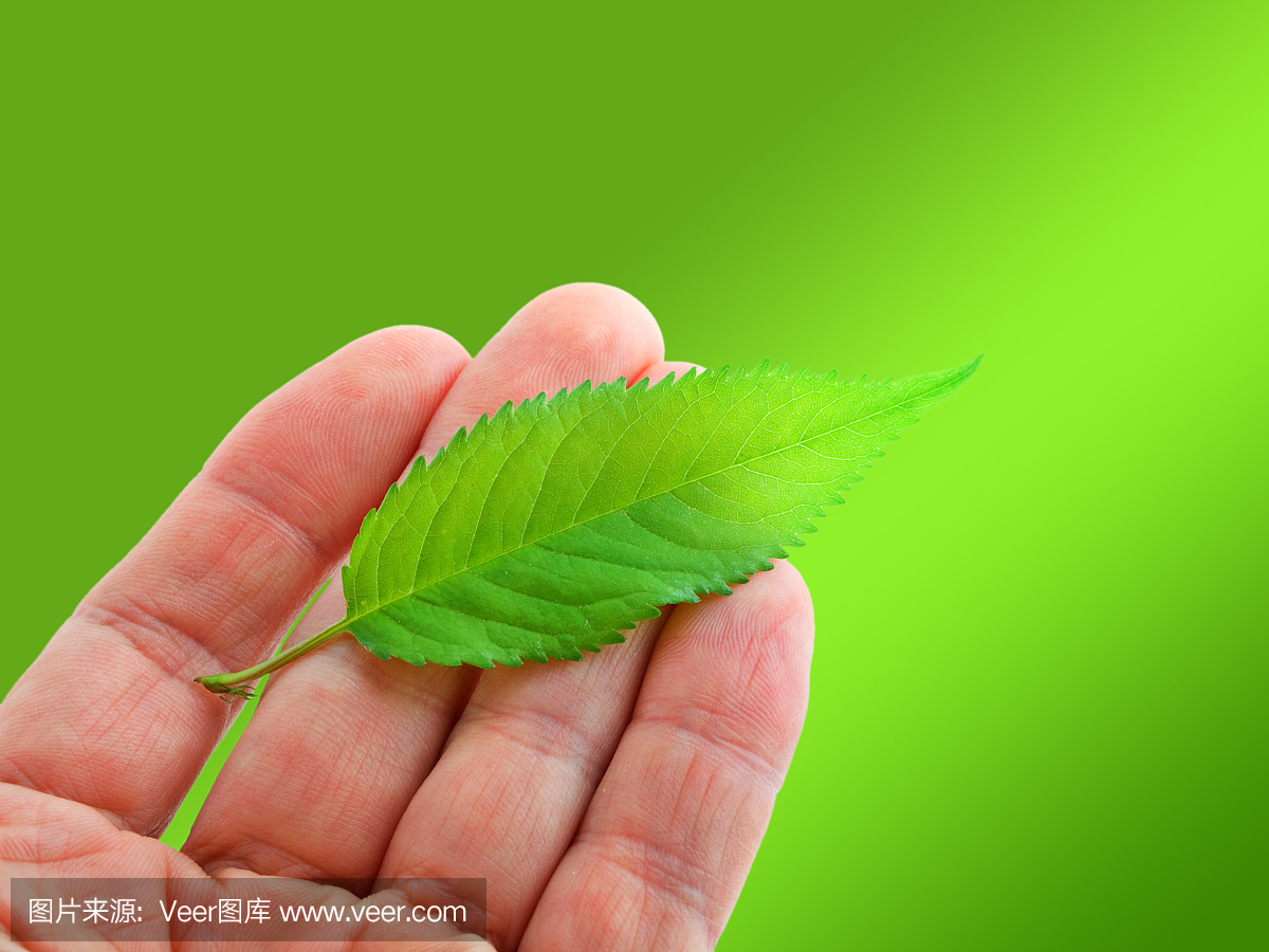 成功,部分,英文字母B,英文字母P