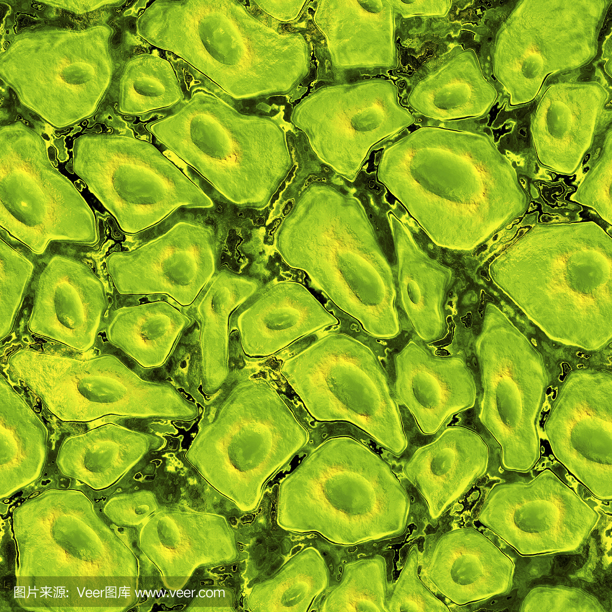 流行病学,纳米技术,纳米,纳米技术的