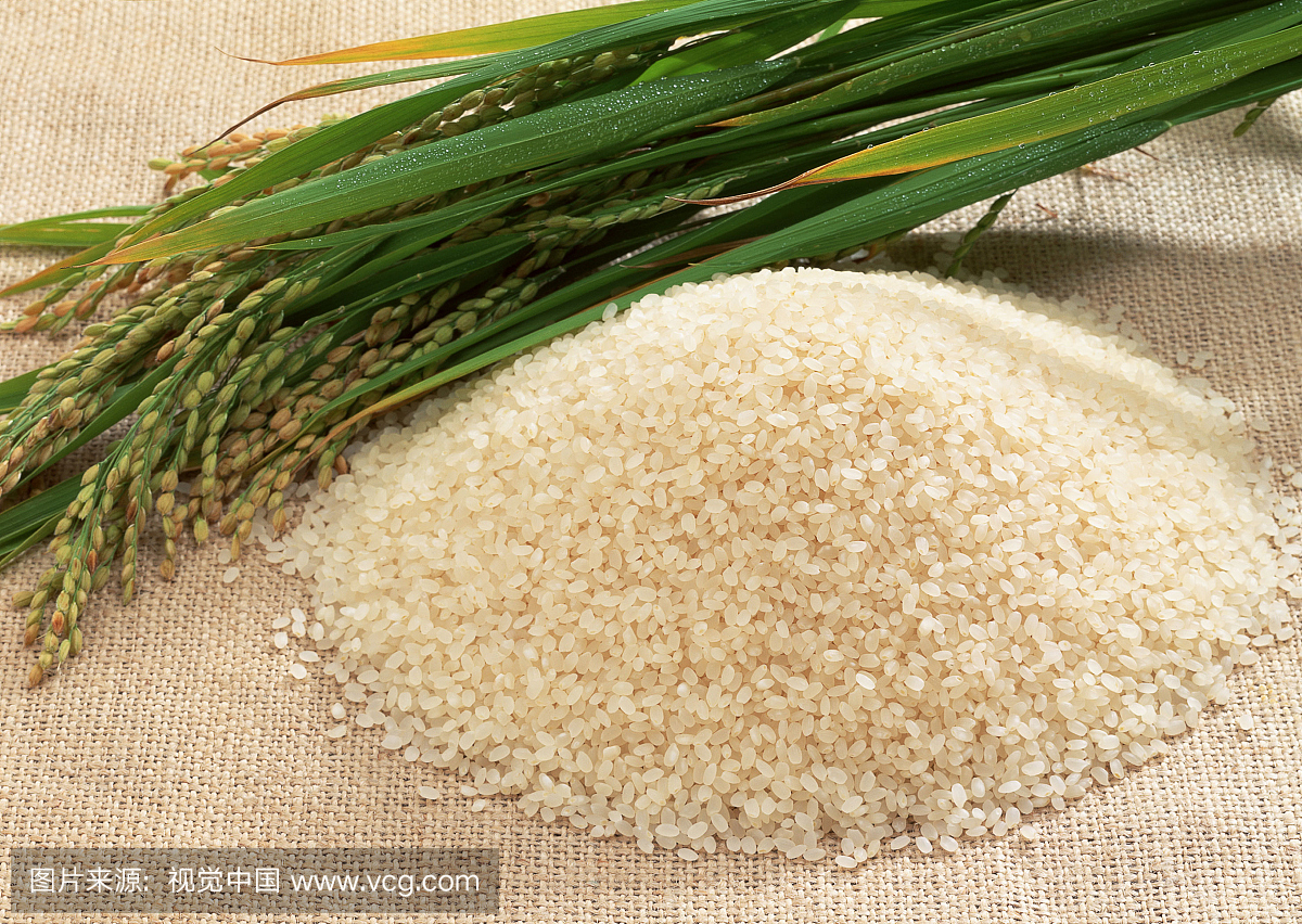 米,大米,饭,白米饭