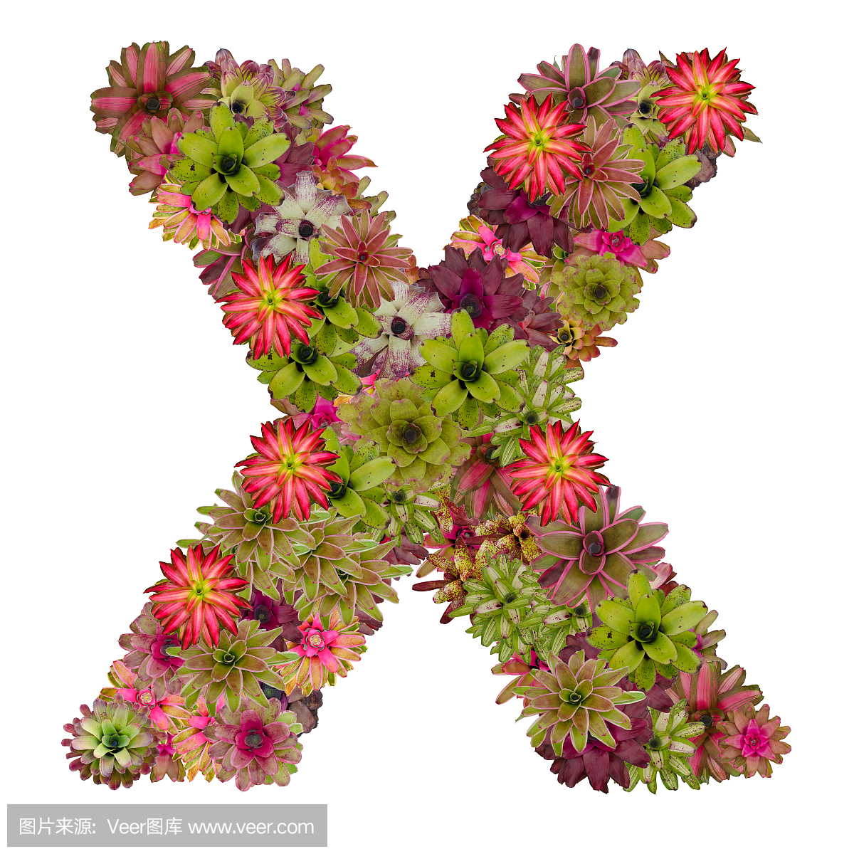 短笛,笛子,英文字母X,字母X的