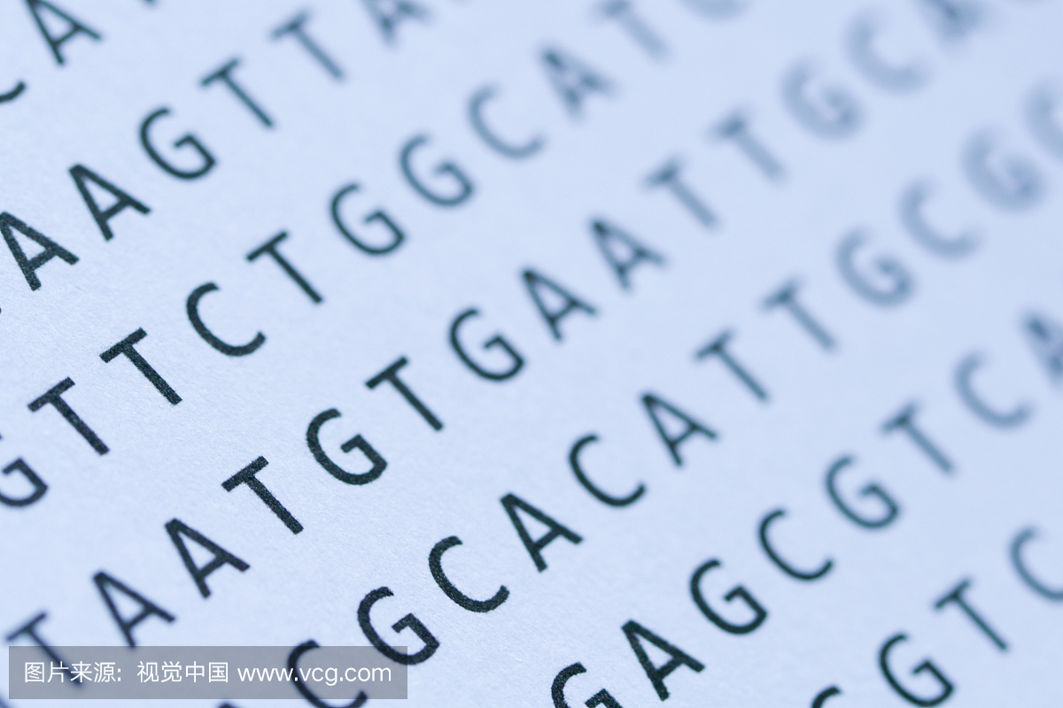 DNA核苷酸序列打印纸的宏观