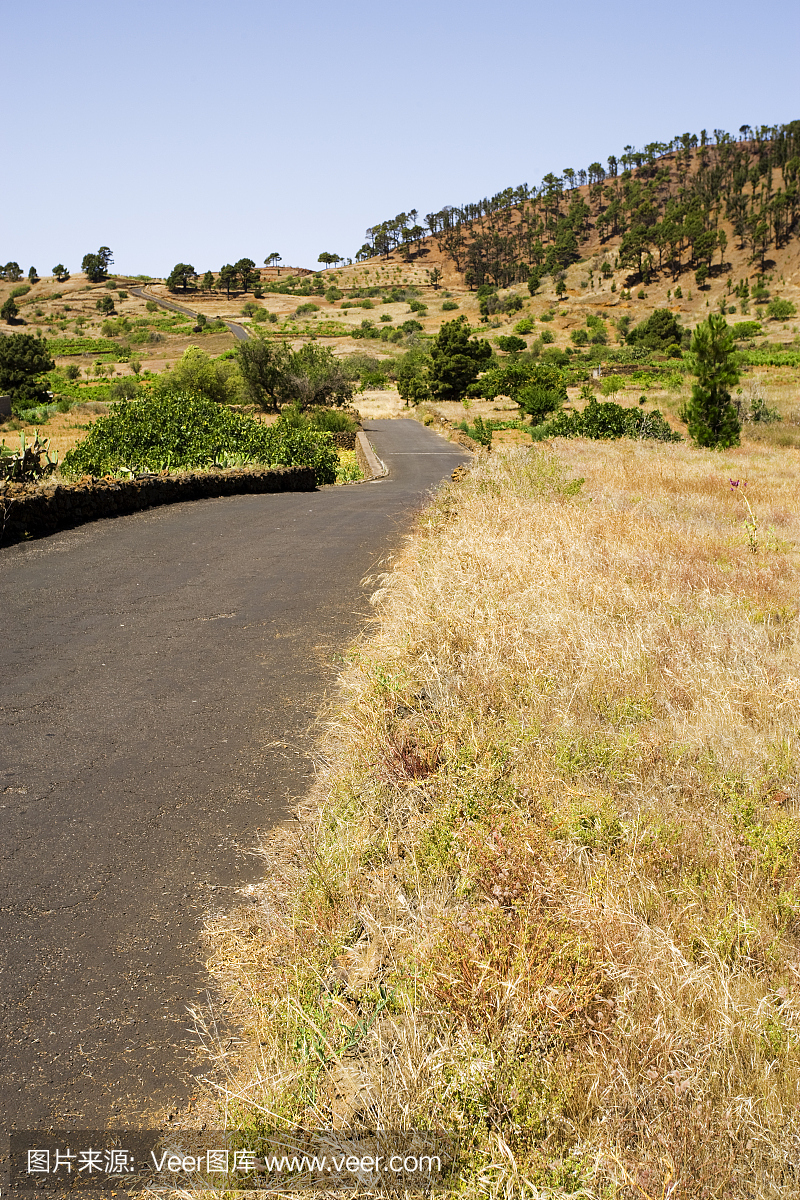 农村公路穿过山丘,El Hierro,金丝雀陛下