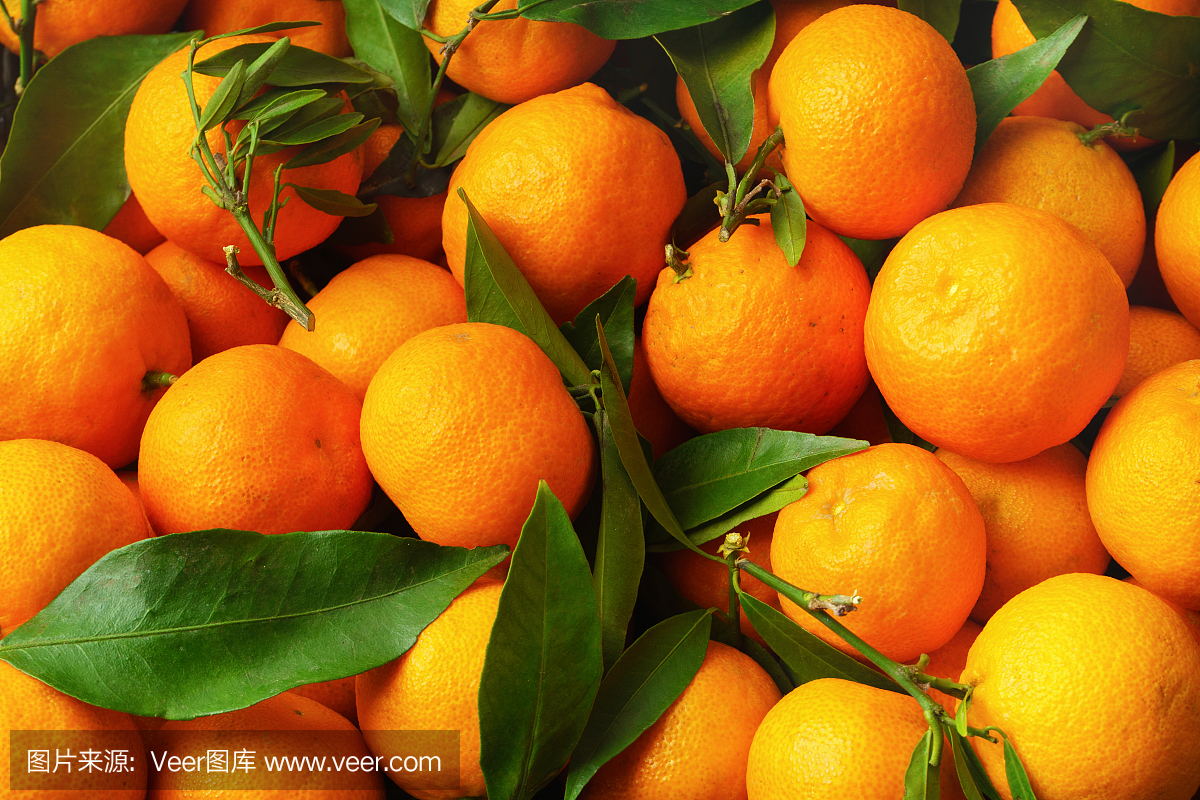 橘子(橘子,桔子,柑桔,柑橘类水果)与叶背景图案