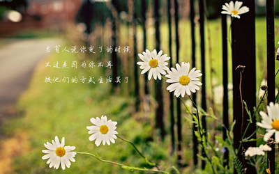 精选每日心语非主流唯美风景伤感文字语录高清-1083kb