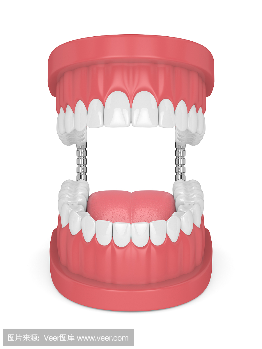 3d渲染的下巴模型与牙齿在白色
