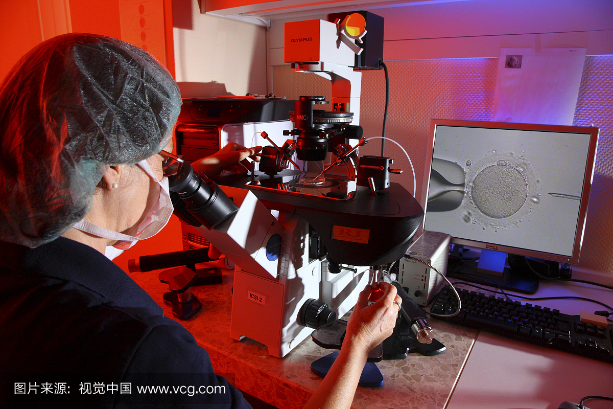 人工授精使用ICSI方法,胞质内精子注射,显微镜