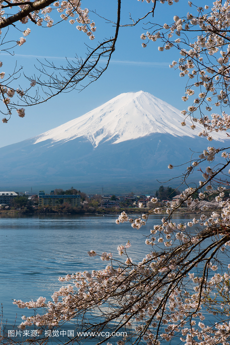 富士山和樱花在一天的时间
