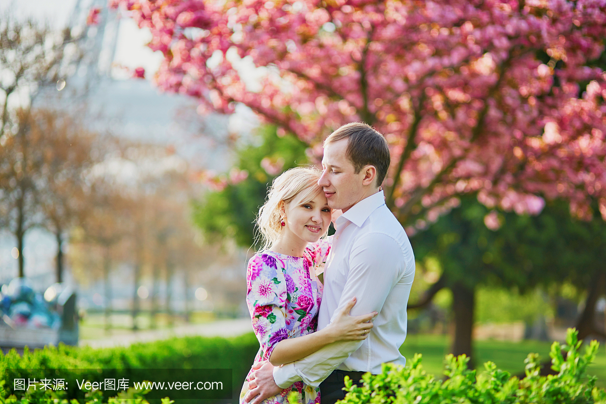 夫妇在埃菲尔铁塔附近在春日在巴黎