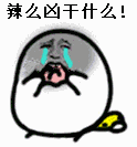 金馆长qq表情大全
