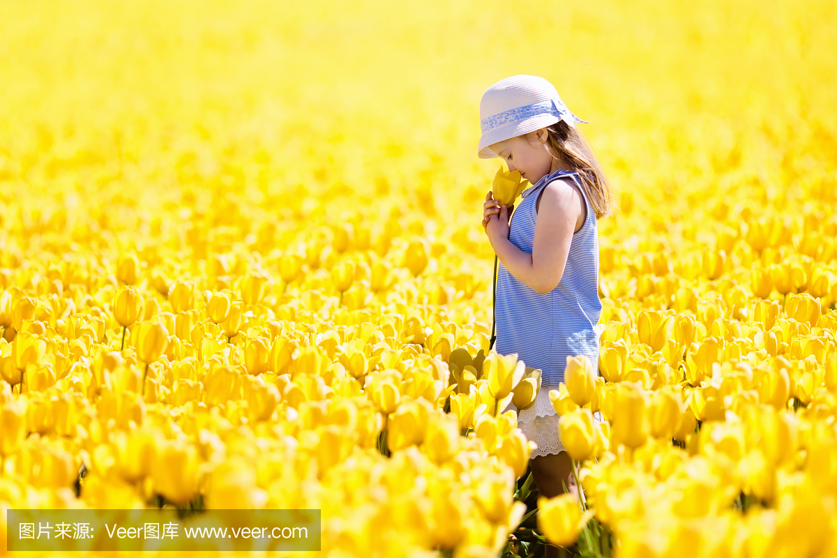 孩子们在郁金香花场。在荷兰的风车