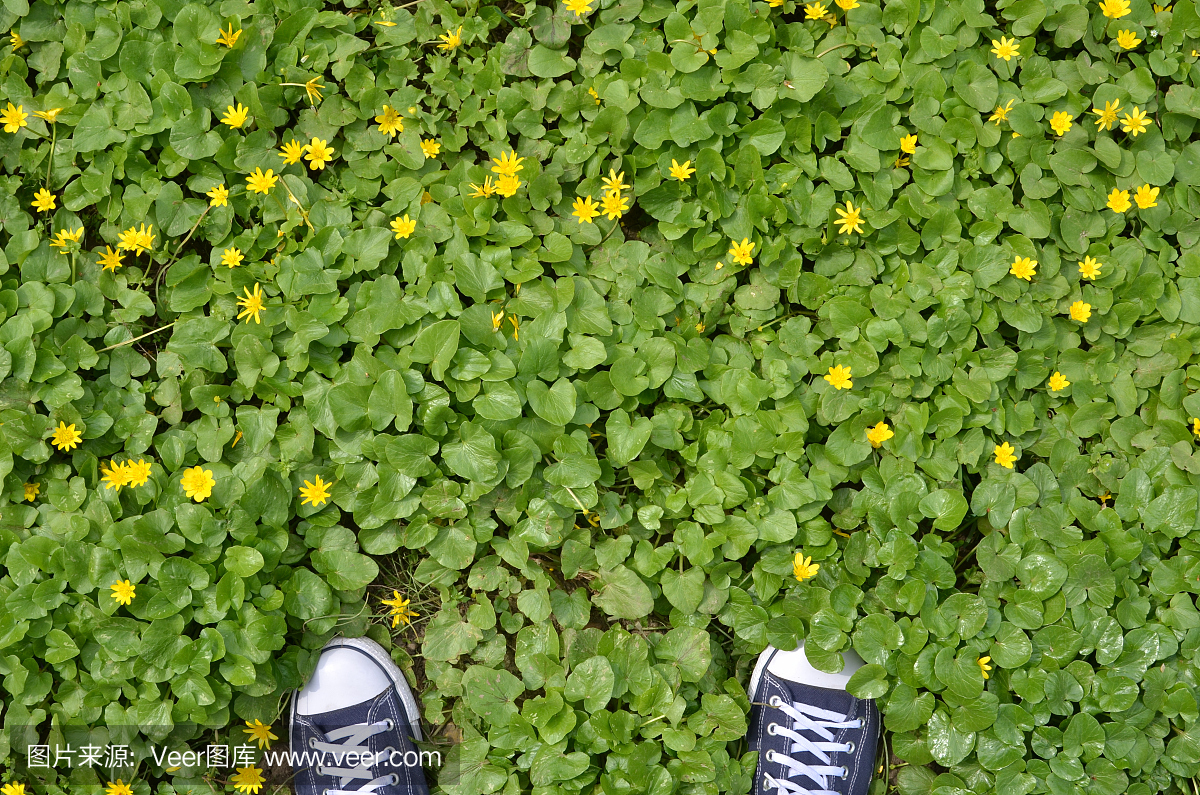 两只脚在蓝色运动鞋在绿色的草地上