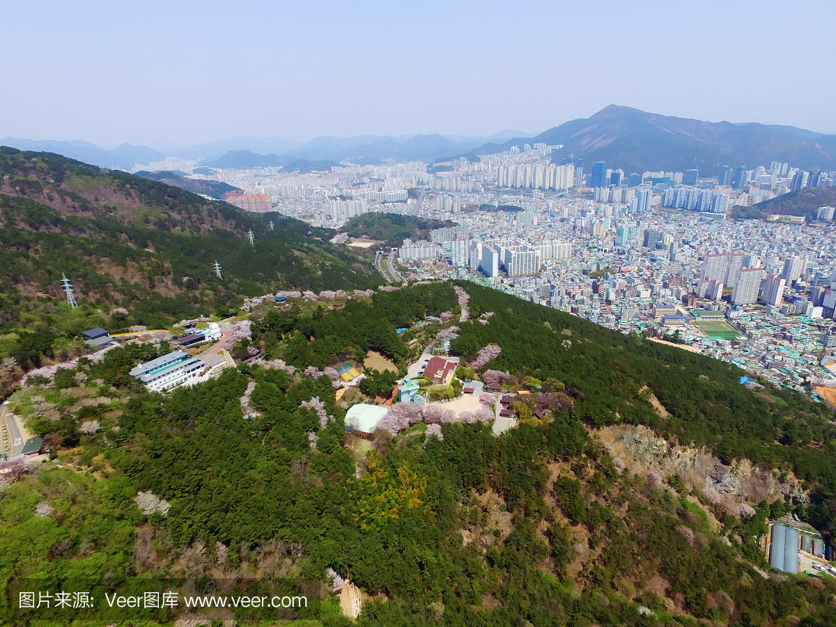 Hwangryeonsan山的春天樱花,釜山,韩国,亚洲