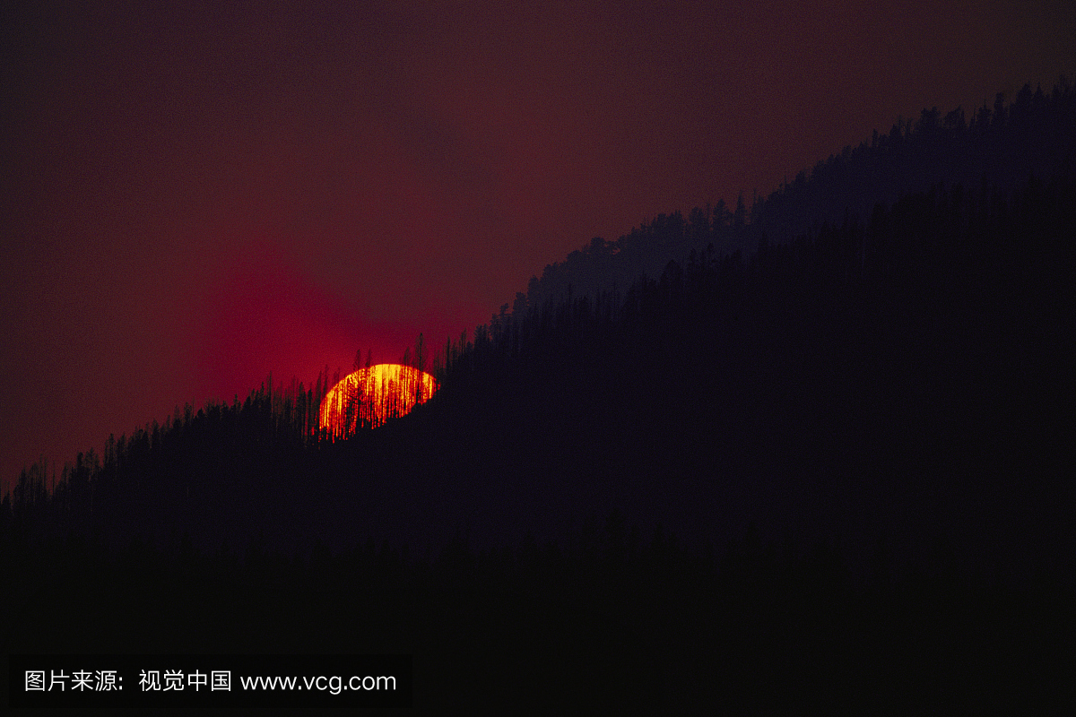 在1988年的黄石火灾期间拍摄了这张照片