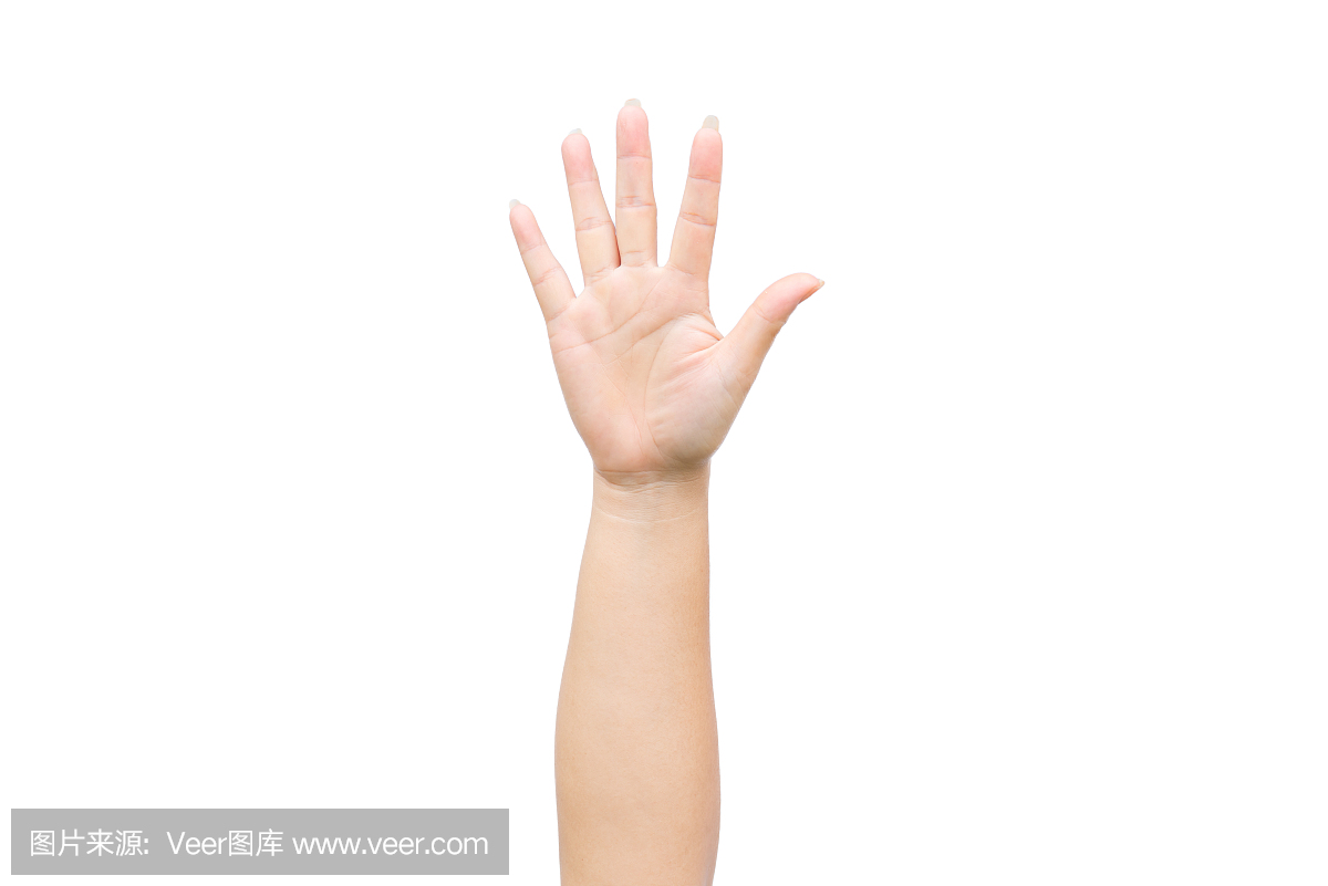 四肢,水平画幅,支撑,志愿者