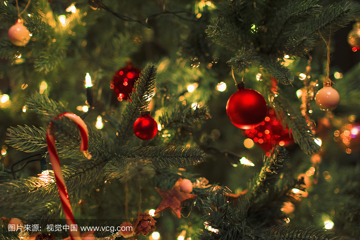 e up ornaments and string lights on Christmas t