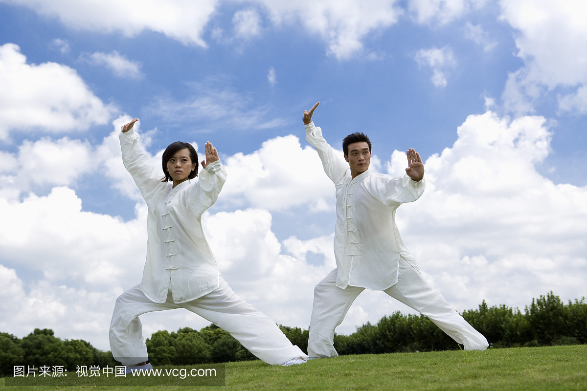 中国功夫,武术,中国武术,功夫