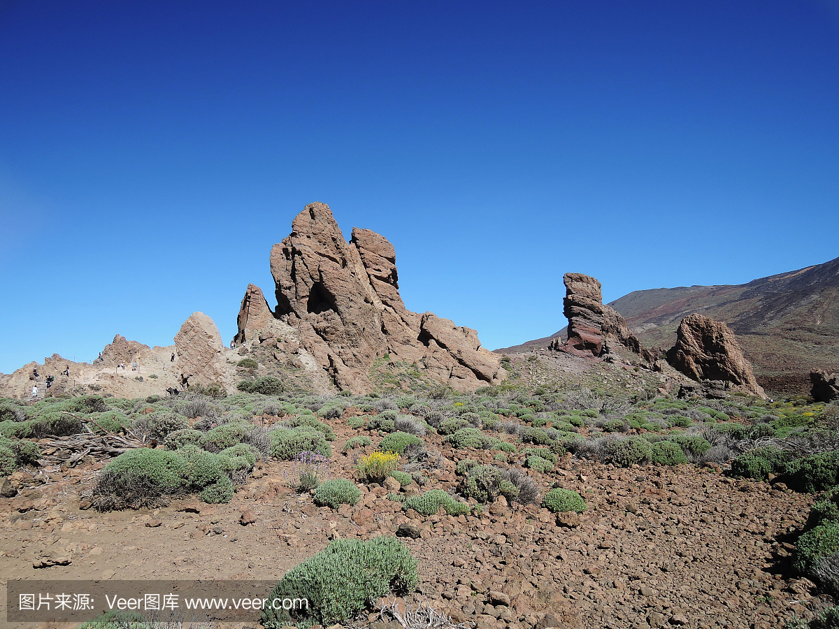 特内里费岛,特内里费市,自然,旅游目的地